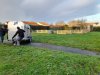 arrivee_moutons0001