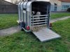 arrivee_moutons0002