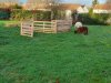 arrivee_moutons0006