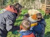 moutons0016