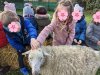 moutons0019