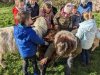 moutons0023