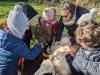 moutons0025