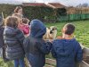 moutons0028