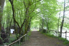 refuge0012